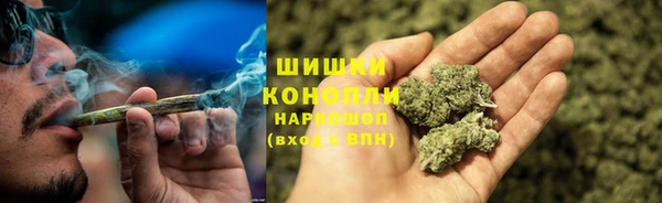 PSILOCYBIN Семикаракорск