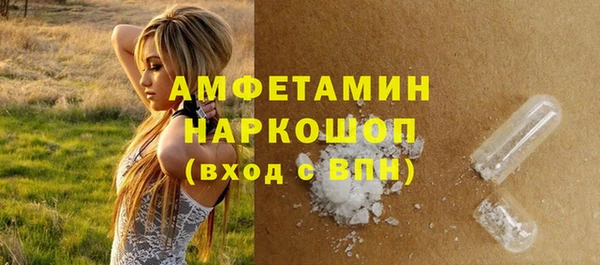 PSILOCYBIN Покачи
