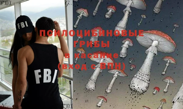 PSILOCYBIN Семикаракорск